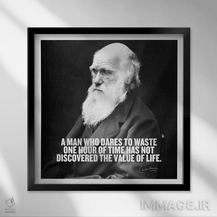 تابلو نقلقولی از چارلز داروین اثر هنرمند ناشناس - نمای قابدار مشکی