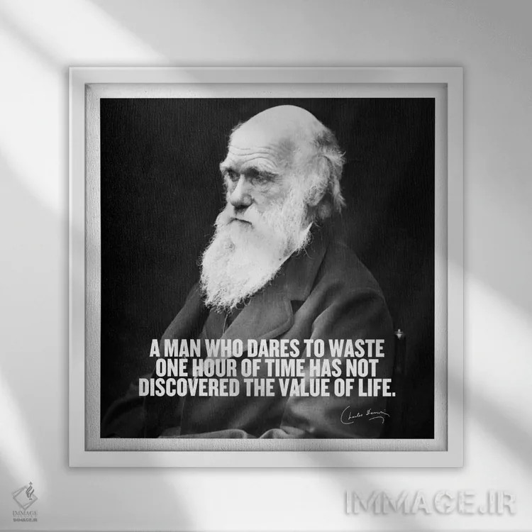 تابلو نقلقولی از چارلز داروین اثر هنرمند ناشناس - نمای قابدار سفید