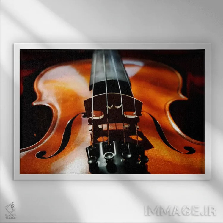 تابلو ویولن اثر هنرمند ناشناس - نمای قابدار سفید