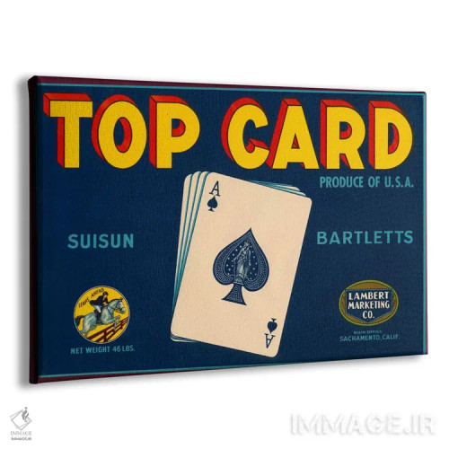 تابلو پوستر قدیمی برچسب بارتلت سیوسون برند تاپ کارد اثر هنرمند ناشناس - نمای پرسپکتیو محصول