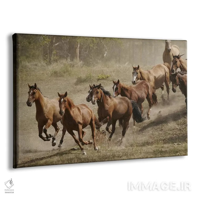 تابلو مزرعهٔ غربی و اسبهای وحشی موستانگ اثر هنرمند ناشناس - نمای پرسپکتیو محصول