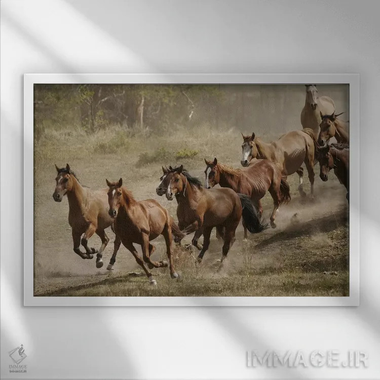 تابلو مزرعهٔ غربی و اسبهای وحشی موستانگ اثر هنرمند ناشناس - نمای قابدار سفید