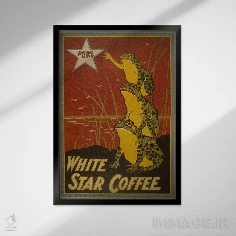 تابلو پوستر قدیمی برچسب قهوه وایت استار اثر هنرمند ناشناس - نمای قابدار مشکی