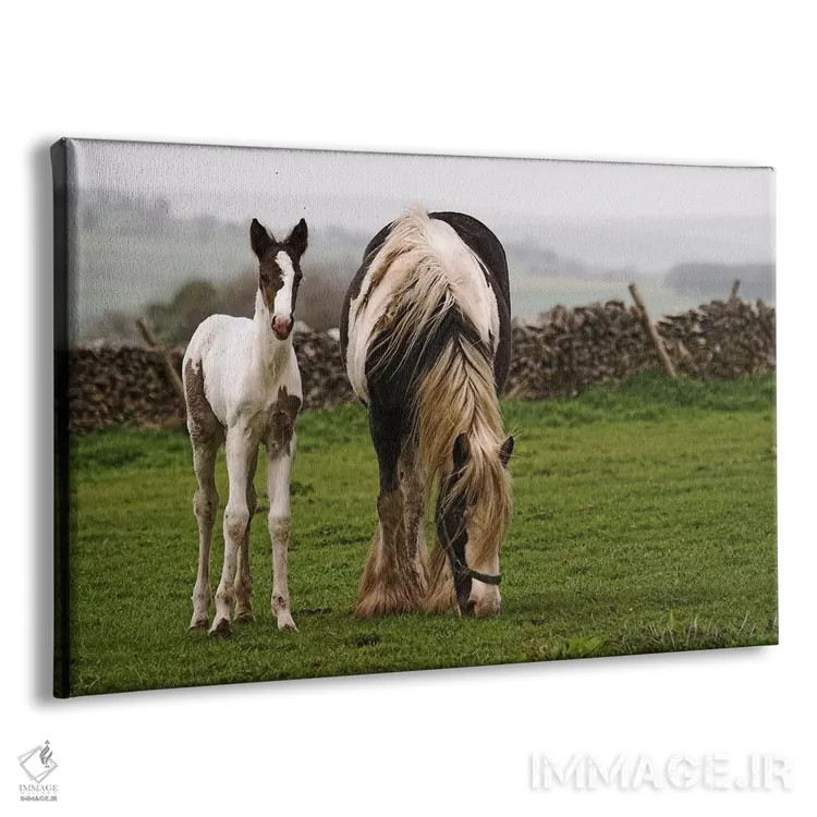 تابلو اسبها اثر هنرمند ناشناس - نمای پرسپکتیو محصول