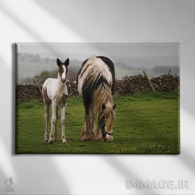 تابلو اسبها اثر هنرمند ناشناس - نمای روبهرو روی دیوار