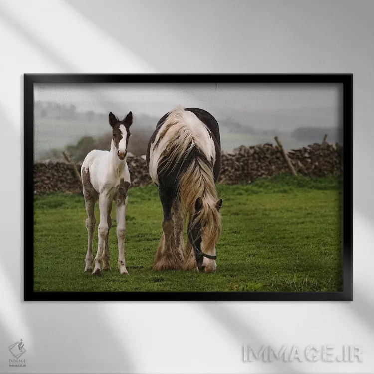 تابلو اسبها اثر هنرمند ناشناس - نمای قابدار مشکی