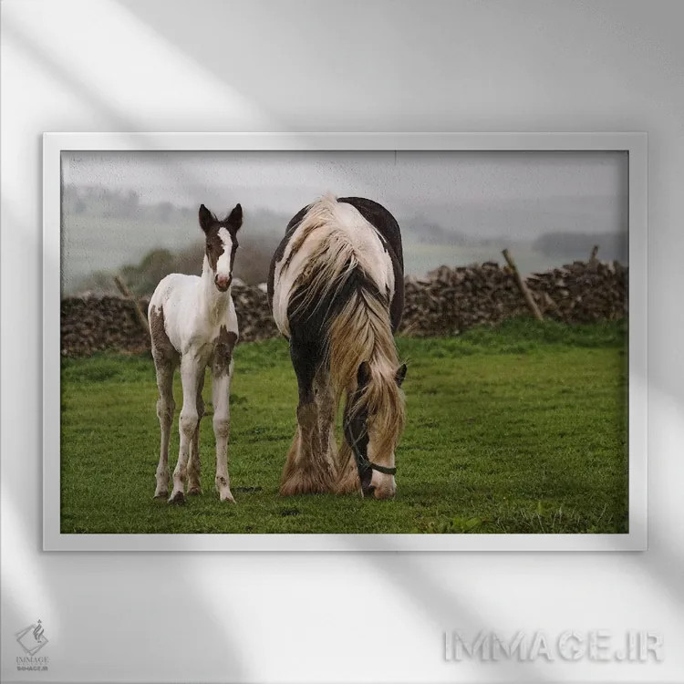 تابلو اسبها اثر هنرمند ناشناس - نمای قابدار سفید