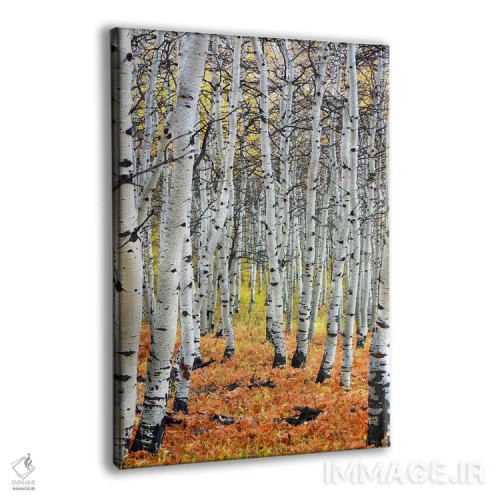 تابلو پاییز در اسپن اثر هنرمند ناشناس - نمای پرسپکتیو محصول