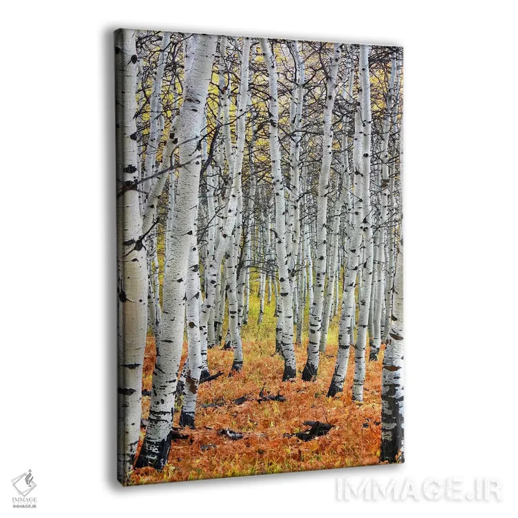 تابلو پاییز در اسپن اثر هنرمند ناشناس - نمای پرسپکتیو محصول