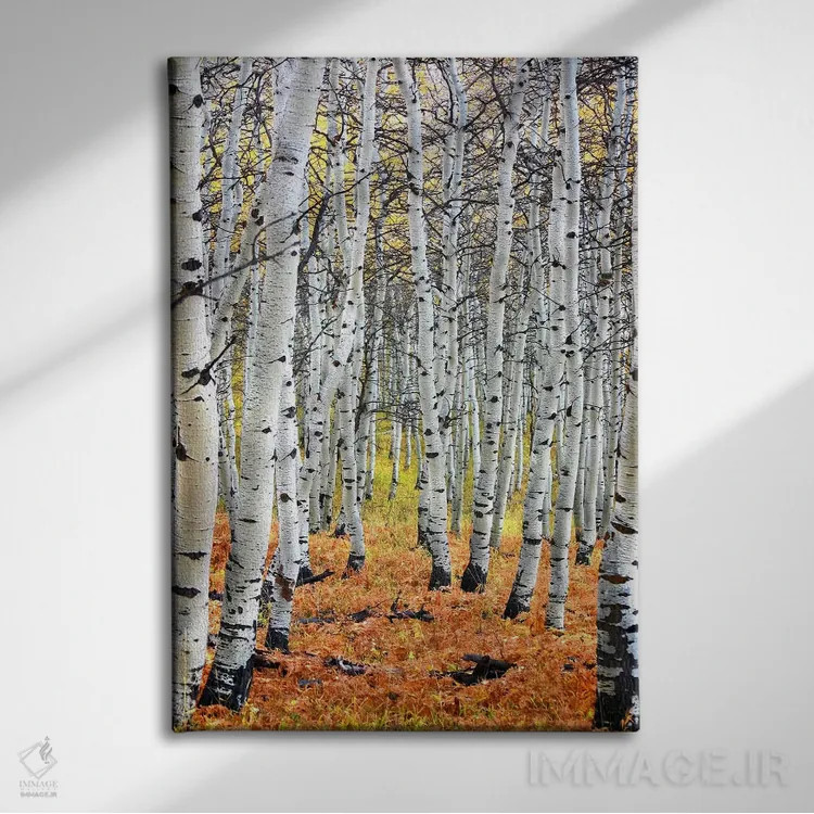 تابلو پاییز در اسپن اثر هنرمند ناشناس - نمای روبهرو روی دیوار