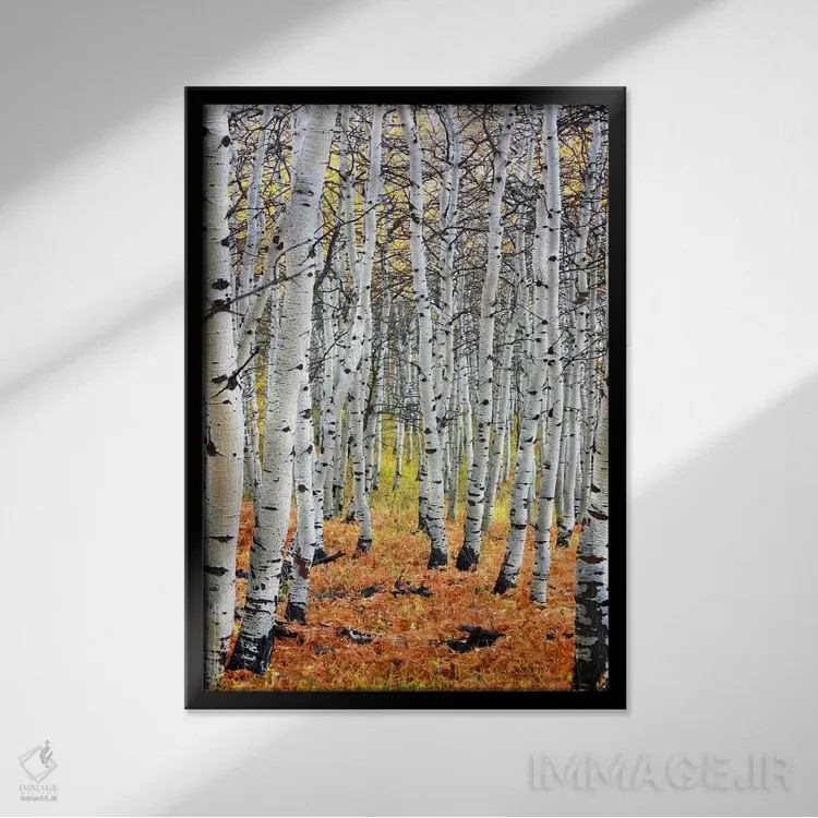 تابلو پاییز در اسپن اثر هنرمند ناشناس - نمای قابدار مشکی