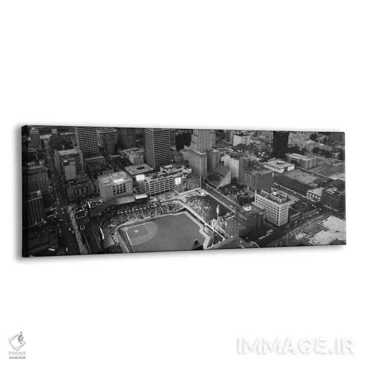 تابلو نمای پانورامای آسماننمای ممفیس (سیاه و سفید) اثر هنرمند ناشناس - نمای پرسپکتیو محصول