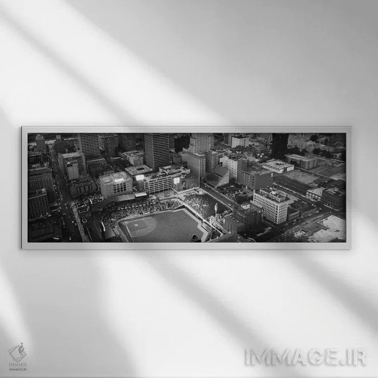 تابلو نمای پانورامای آسماننمای ممفیس (سیاه و سفید) اثر هنرمند ناشناس - نمای قابدار سفید