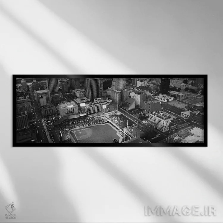 تابلو نمای پانورامای آسماننمای ممفیس (سیاه و سفید) اثر هنرمند ناشناس - نمای قابدار مشکی