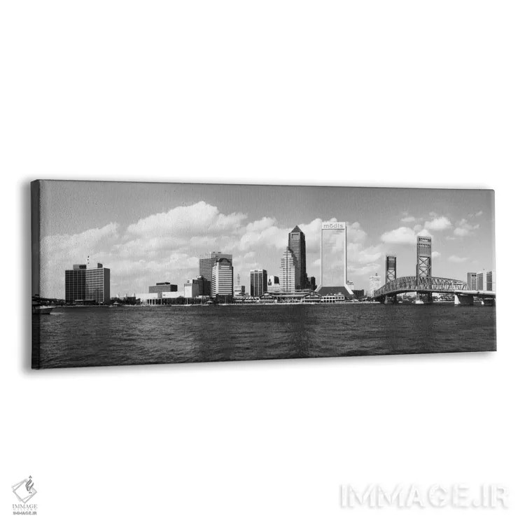 تابلو نمای پانورامای آسماننمای جکسونویل (سیاه و سفید) اثر هنرمند ناشناس - نمای پرسپکتیو محصول