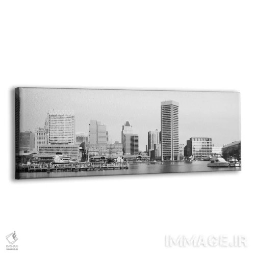 تابلو نمای پانورامای آسماننمای بالتیمور (سیاه و سفید) اثر هنرمند ناشناس - نمای پرسپکتیو محصول