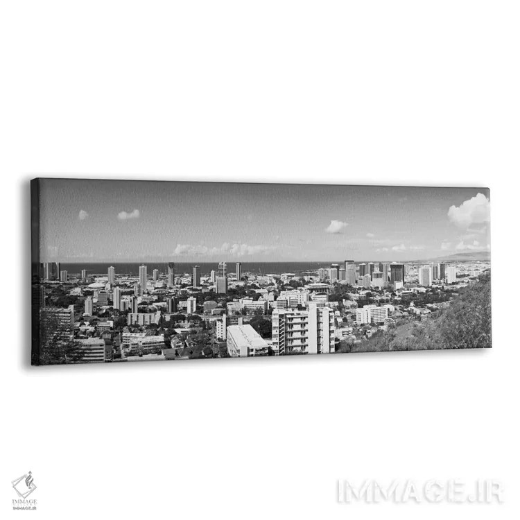 تابلو نمای پانورامای آسماننمای هونولولو (سیاه و سفید) اثر هنرمند ناشناس - نمای پرسپکتیو محصول