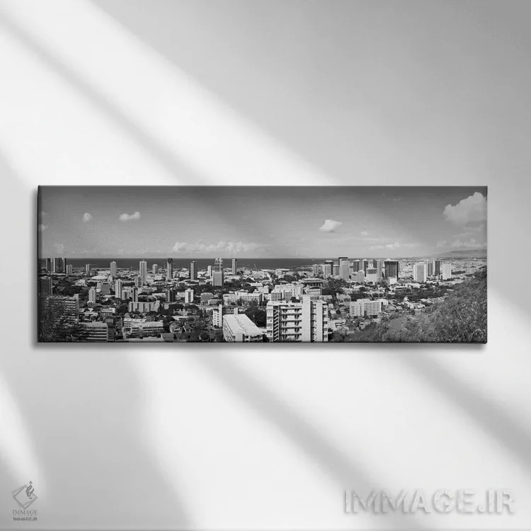 تابلو نمای پانورامای آسماننمای هونولولو (سیاه و سفید) اثر هنرمند ناشناس - نمای روبهرو روی دیوار