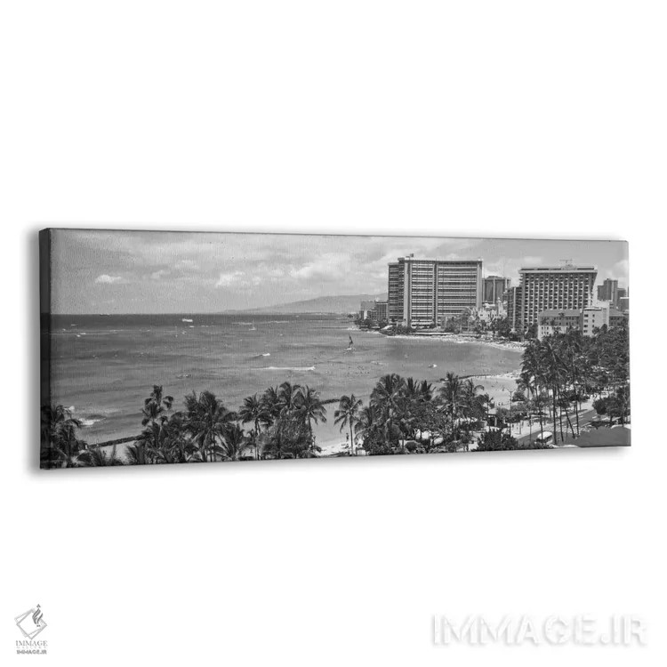تابلو نمای پانورامای آسماننمای هونولولو (سیاه و سفید) اثر هنرمند ناشناس - نمای پرسپکتیو محصول