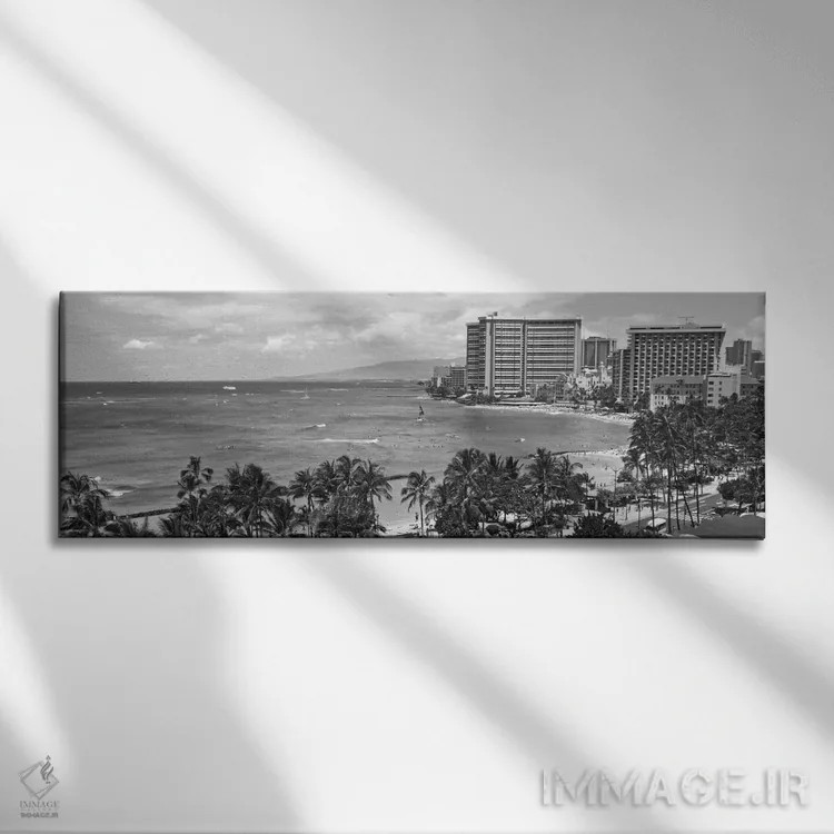 تابلو نمای پانورامای آسماننمای هونولولو (سیاه و سفید) اثر هنرمند ناشناس - نمای روبهرو روی دیوار