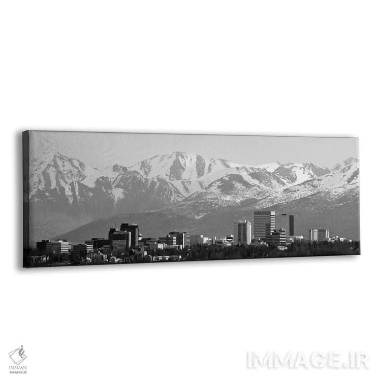 تابلو نمای پانورامای آسماننمای انکوریج (سیاه و سفید) اثر هنرمند ناشناس - نمای پرسپکتیو محصول