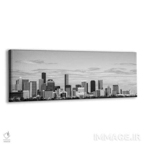 تابلو نمای پانورامای آسماننمای هیوستون (سیاه و سفید) اثر هنرمند ناشناس - نمای پرسپکتیو محصول