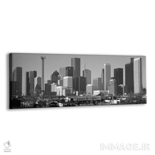 تابلو نمای پانورامای آسماننمای هیوستون (سیاه و سفید) اثر هنرمند ناشناس - نمای پرسپکتیو محصول
