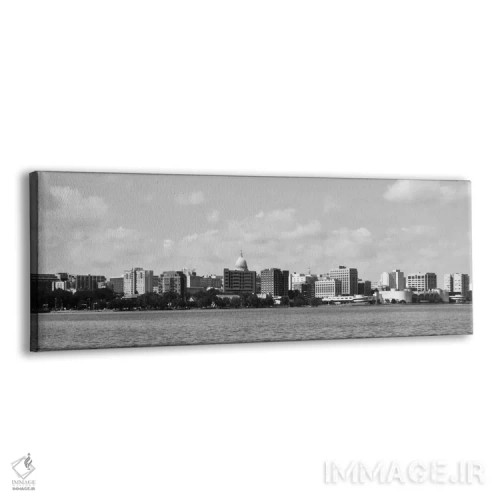 تابلو نمای پانورامای آسماننمای مدیسون (سیاه و سفید) اثر هنرمند ناشناس - نمای پرسپکتیو محصول