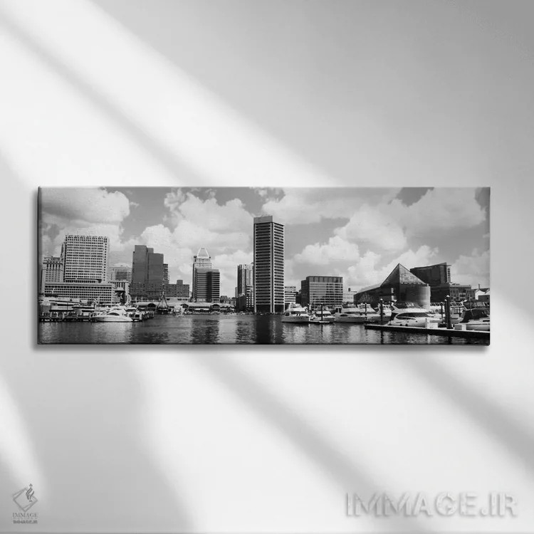 تابلو نمای پانورامای آسماننمای بالتیمور (سیاه و سفید) اثر هنرمند ناشناس - نمای روبهرو روی دیوار