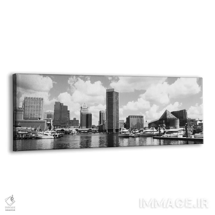 تابلو نمای پانورامای آسماننمای بالتیمور (سیاه و سفید) اثر هنرمند ناشناس - نمای پرسپکتیو محصول