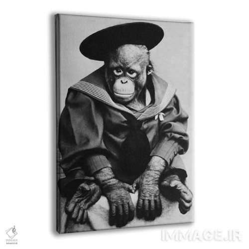 تابلو میمون با لباس فارغالتحصیلی (عکس قدیمی) اثر هنرمند ناشناس - نمای پرسپکتیو محصول