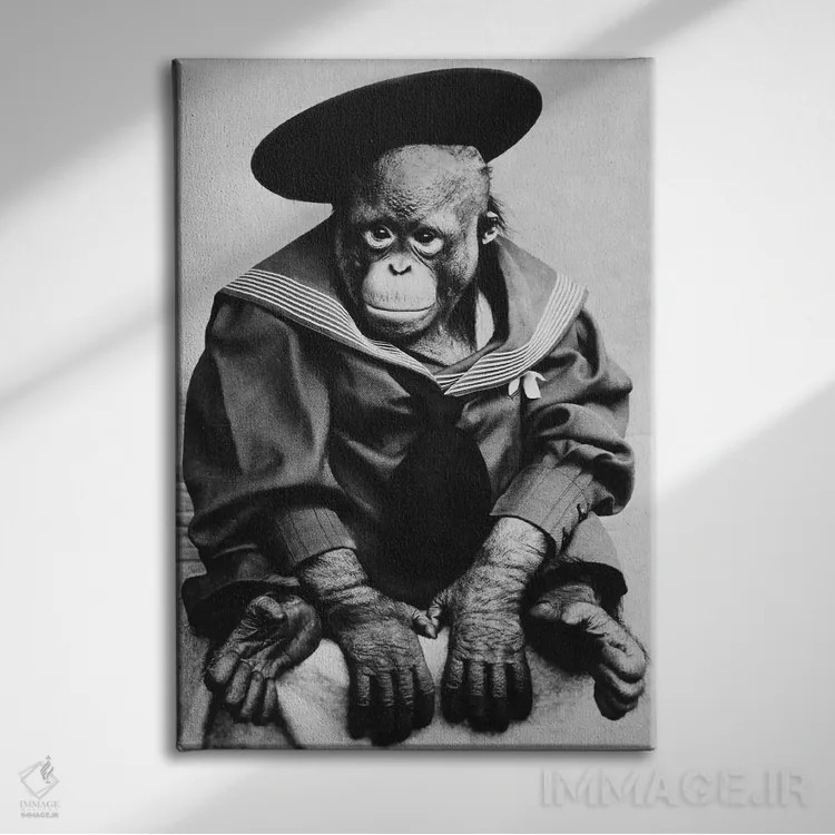 تابلو میمون با لباس فارغالتحصیلی (عکس قدیمی) اثر هنرمند ناشناس - نمای روبهرو روی دیوار