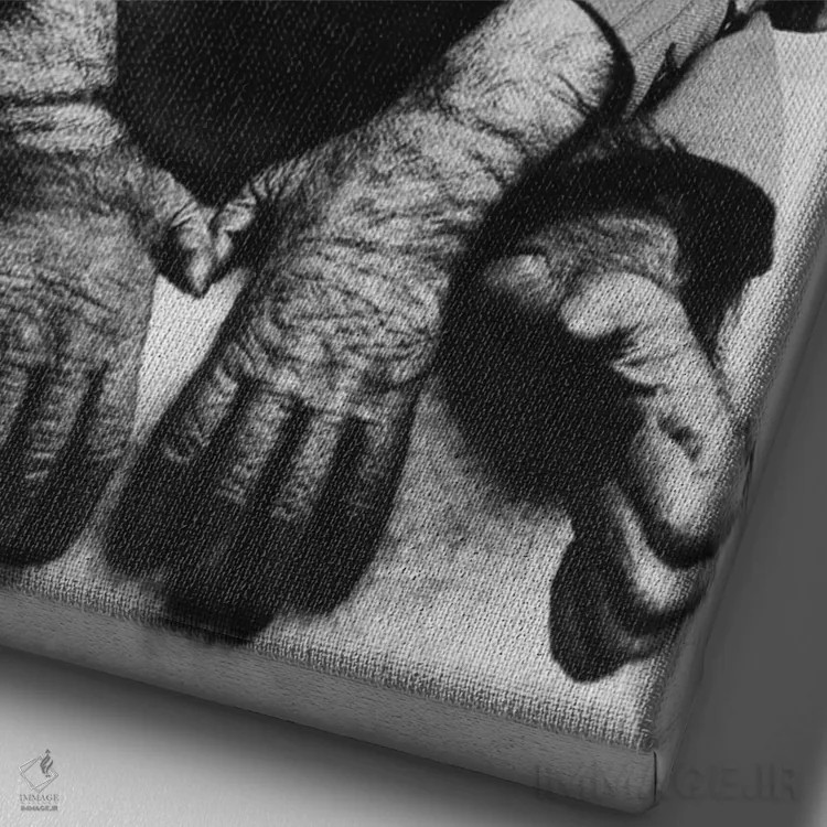 تابلو میمون با لباس فارغالتحصیلی (عکس قدیمی) اثر هنرمند ناشناس - نمای نزدیک بافت بوم