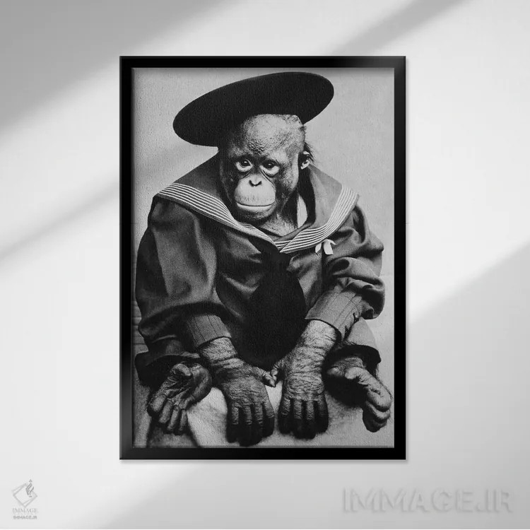 تابلو میمون با لباس فارغالتحصیلی (عکس قدیمی) اثر هنرمند ناشناس - نمای قابدار مشکی