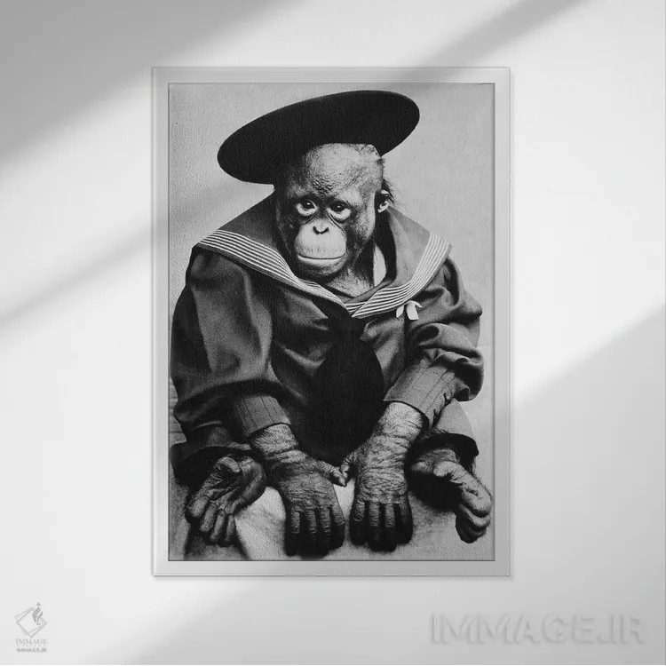 تابلو میمون با لباس فارغالتحصیلی (عکس قدیمی) اثر هنرمند ناشناس - نمای قابدار سفید