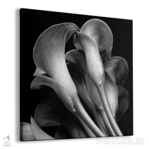 تابلو سوسنها اثر مایکل هریسون - نمای پرسپکتیو محصول