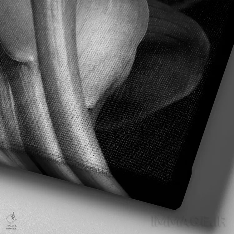 تابلو سوسنها اثر مایکل هریسون - نمای نزدیک بافت بوم