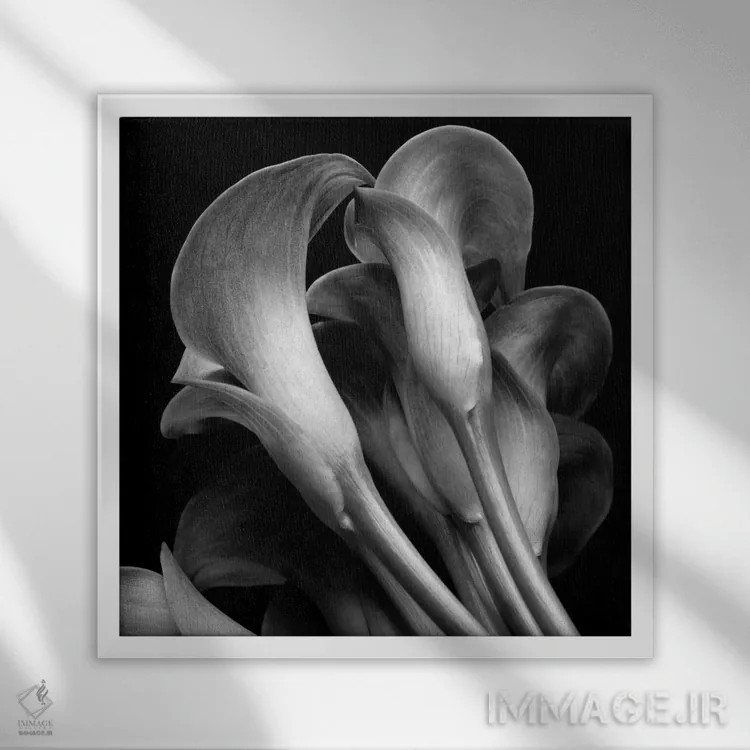 تابلو سوسنها اثر مایکل هریسون - نمای قابدار سفید