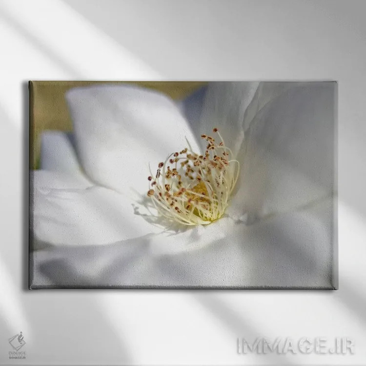 تابلو عدد هشت اثر اسدی اسمارت - نمای روبهرو روی دیوار