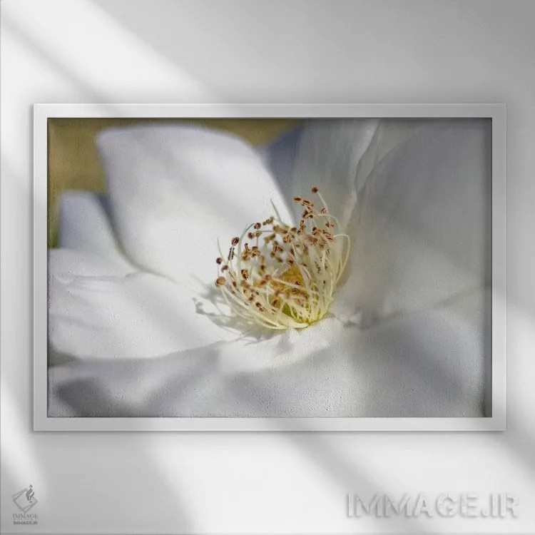 تابلو عدد هشت اثر اسدی اسمارت - نمای قابدار سفید