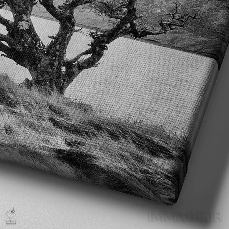 تابلو درخت کانمارا ۱ اثر جفری آنسل آگرونس - نمای نزدیک بافت بوم