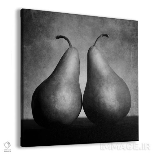 تابلو گلابیهای عاشق (هنر مفهومی) اثر موایسس لوی - نمای پرسپکتیو محصول