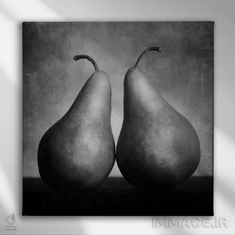 تابلو گلابیهای عاشق (هنر مفهومی) اثر موایسس لوی - نمای روبهرو روی دیوار