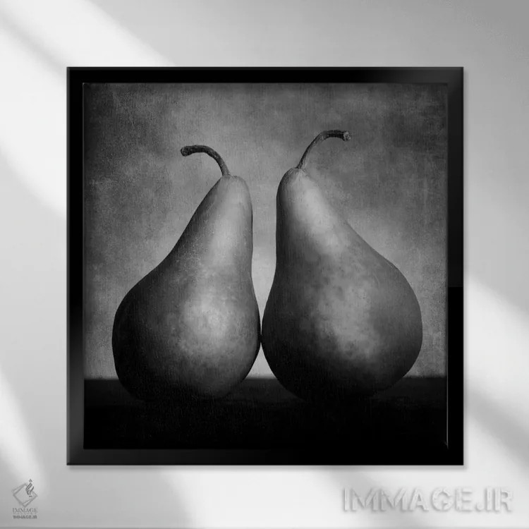 تابلو گلابیهای عاشق (هنر مفهومی) اثر موایسس لوی - نمای قابدار مشکی