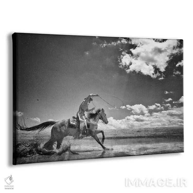 تابلو قدم زدن روی آب اثر دن بالارد - نمای پرسپکتیو محصول