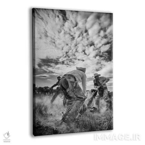 تابلو غبار اثر دن بالارد - نمای پرسپکتیو محصول