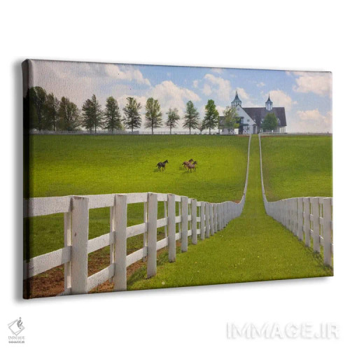 تابلو Kentucky 08,مزرعهٔ منچستر، کنتاکی ۲۰۰۸ اثر مونته ناگلر - نمای پرسپکتیو محصول