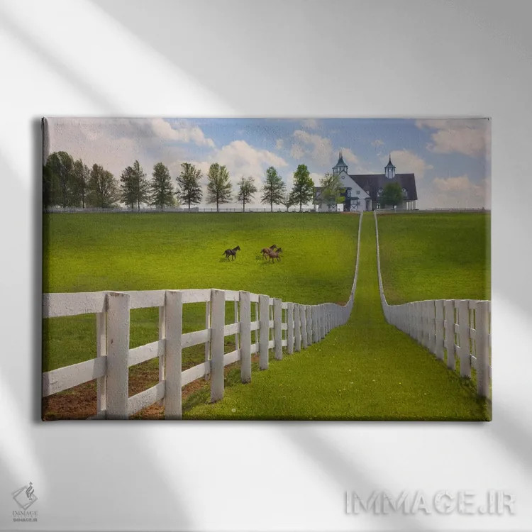 تابلو Kentucky 08,مزرعهٔ منچستر، کنتاکی ۲۰۰۸ اثر مونته ناگلر - نمای روبهرو روی دیوار