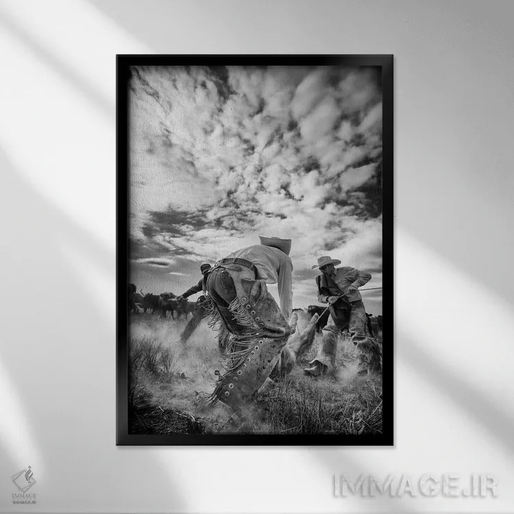 تابلو غبار اثر دن بالارد - نمای قابدار مشکی