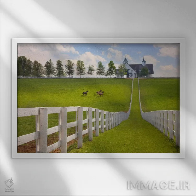 تابلو Kentucky 08,مزرعهٔ منچستر، کنتاکی ۲۰۰۸ اثر مونته ناگلر - نمای قابدار سفید